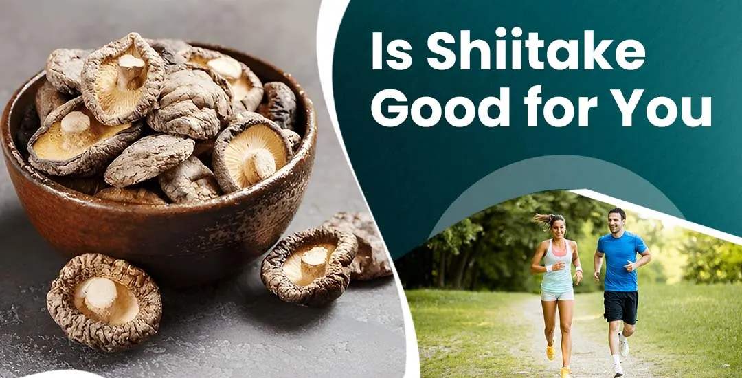 Is Shiitake Good for You